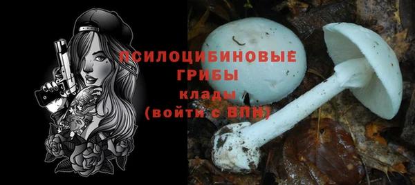 гидра Зеленодольск