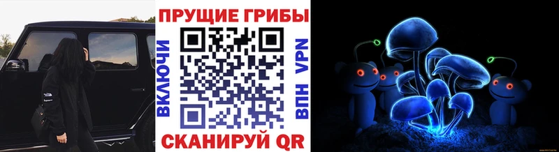 Галлюциногенные грибы Magic Shrooms  цена наркотик  Котовск 